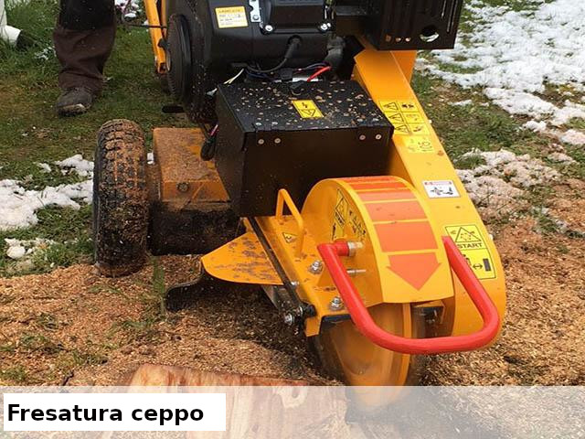 fresatura ceppi
